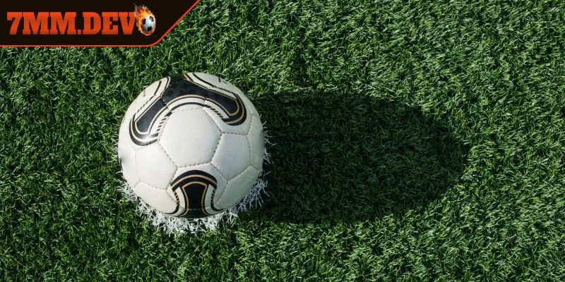 Thấu hiểu cách đặt cược Tài Xỉu 2 trái hiệu quả là sao